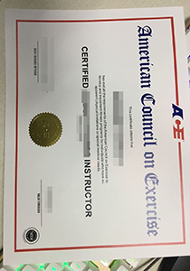 Buy Fake American Council on Exercise Certificate