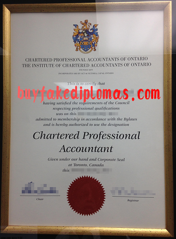 Chartered Professional Accountants of Ontario Certificate, Buy Fake Chartered Professional Accountants of Ontario Certificate