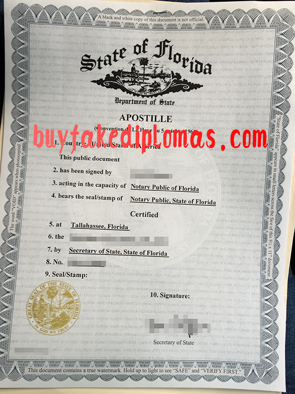State of Florida Document, Buy Fake State of Florida Document
