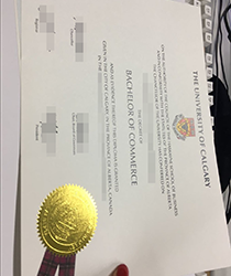 Buy fake diploma of University of Calgary fake diploma