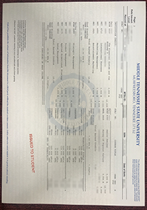 Middle Tennessee State University Transcript, Buy Fake Middle Tennessee State University Transcript