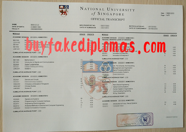 National University of Singapore Transcript, Buy Fake National University of Singapore Transcript