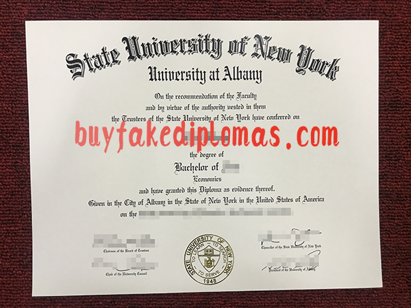 State University of New York, Albany Diploma, Buy Fake State University of New York, Albany Diploma