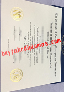 fake Certified Management Accountant Certificate