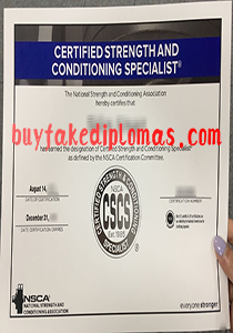 CSCS Certificate, buy fake CSCS Certificate