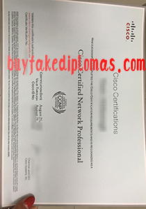 Cisco certificate, buy fake Cisco certificate