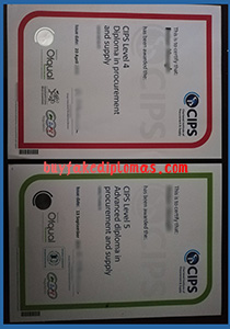CIPS Certificate, Buy Fake CIPS Certificate