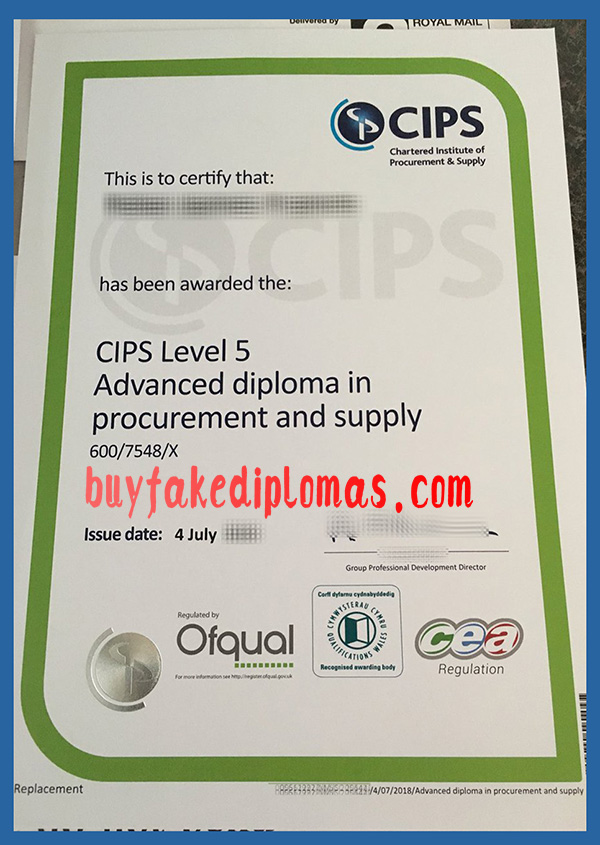 CIPS Certificate, CIPS Fake Certificate