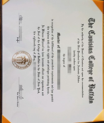 Canisius College of Buffalo fake diploma