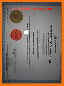 Industrial Mechanic Certificate of Qualification, Buy Fake Industrial Mechanic Certificate of Qualification