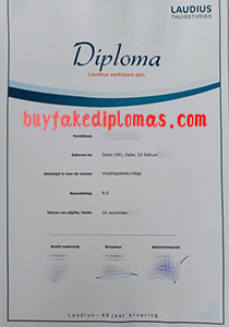 Laudius Diploma, buy fake Laudius Diploma