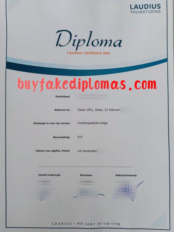 Laudius Diploma, Fake Laudius Diploma