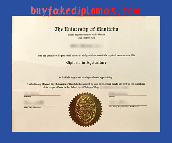 The University of Manitoba Diploma, Fake The University of Manitoba Diploma