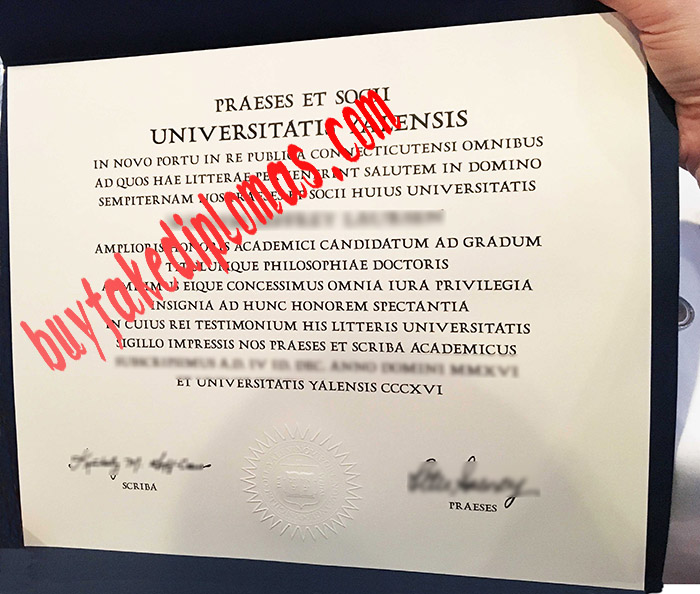Universitatis Yalensis fake diploma