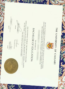 Fake University of Calgary Degree Certificate