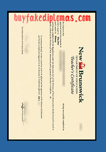 University of New Brunswick Department of Education Certificate, Fake University of New Brunswick Department of Education Certificate