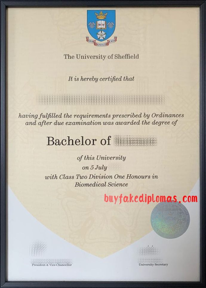 Fake University of Sheffield Degree