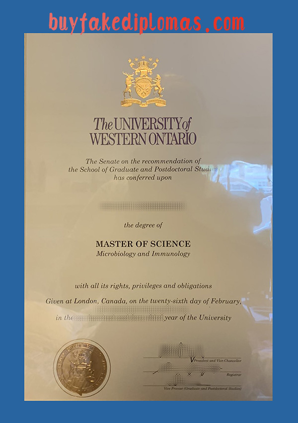 University of Western Ontario Degree Certificate, Fake University of Western Ontario Degree Certificate