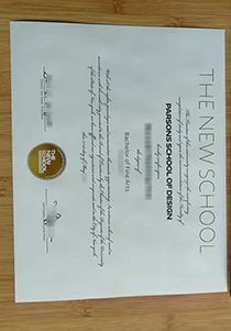 New School fake diploma
