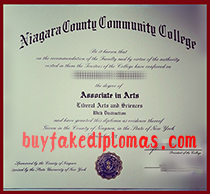 Niagara County Community College Degree, Buy Fake Niagara County Community College Degree