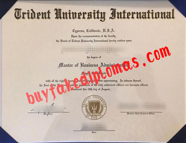 Fake Trident University International MBA Degree