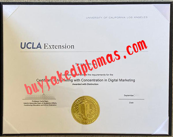Fake UCLA Extension Certificate