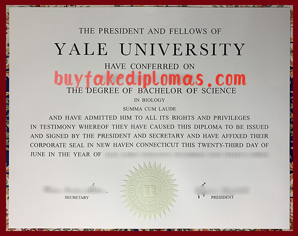 Yale University Degree, fake Yale University Degree