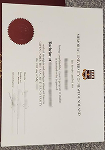 Memorial University of Newfoundland fake diploma