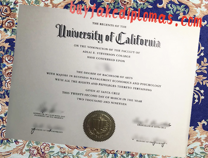 Fake UC Santa Cruz Degree