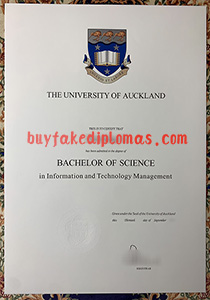 Fake University of Auckland Degree