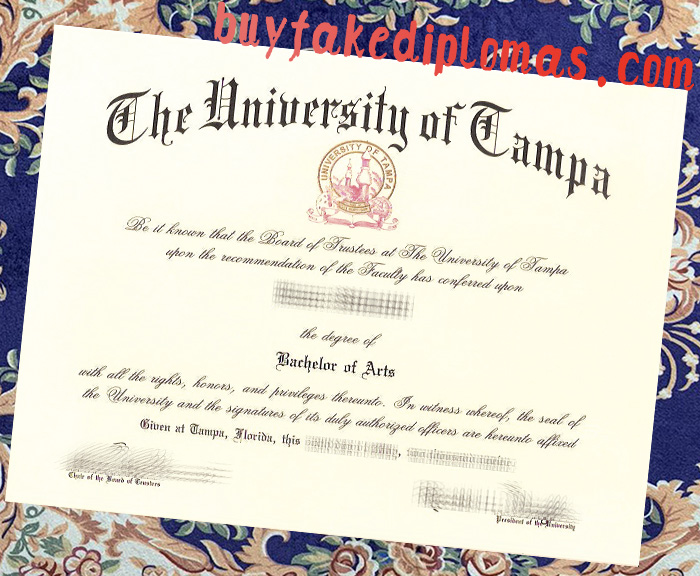 Fake University of Tampa Degree
