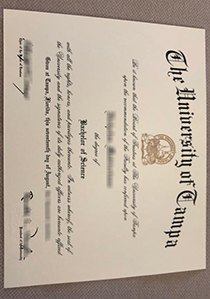 University of Tampa fake diploma