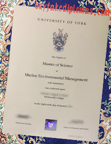 Fake University of York Degree