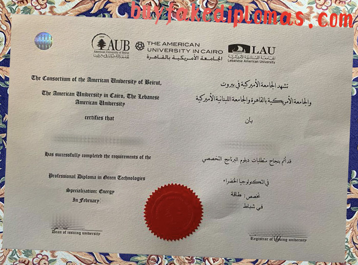 Fake American University In Cairo Diploma