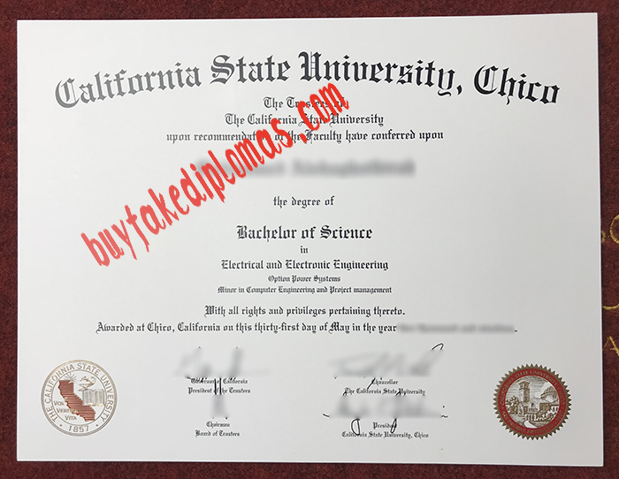 Fake California State University Chico Degree