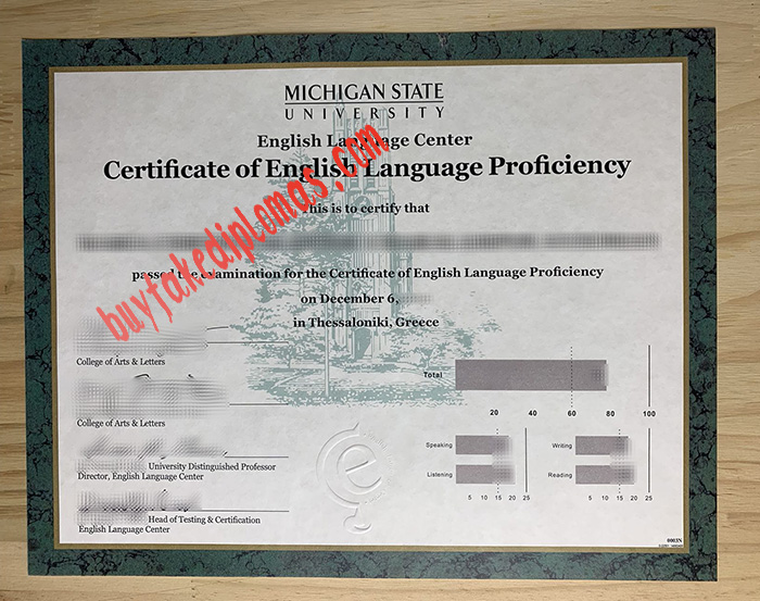 Michigan State University English Language Center fake certificate
