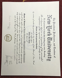 New York University fake diploma