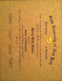 State University of New York College of Optometry fake diploma