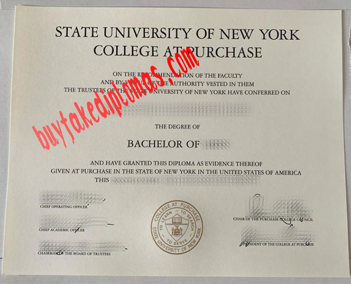State University of New York Purchase College fake degree