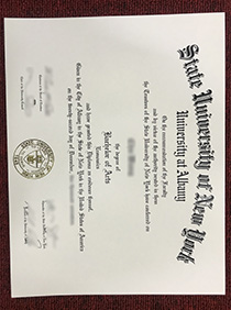 State University of New York University at Albany fake diploma