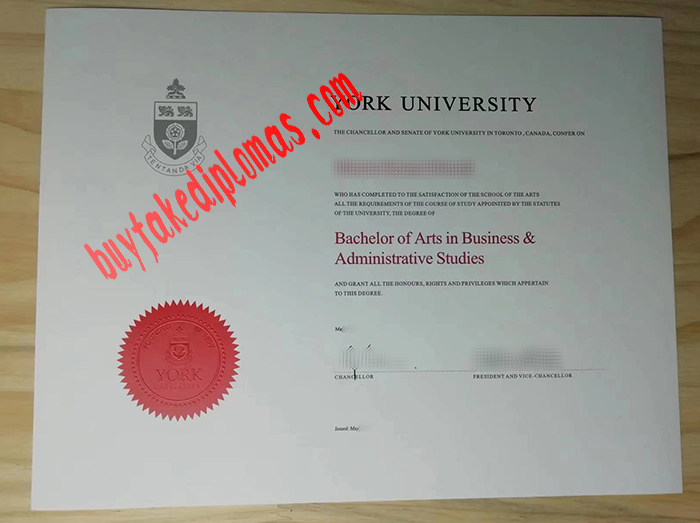 York University fake diploma