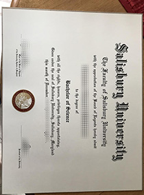 Salisbury University fake diploma