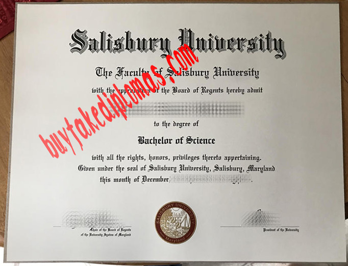 Salisbury University fake diploma