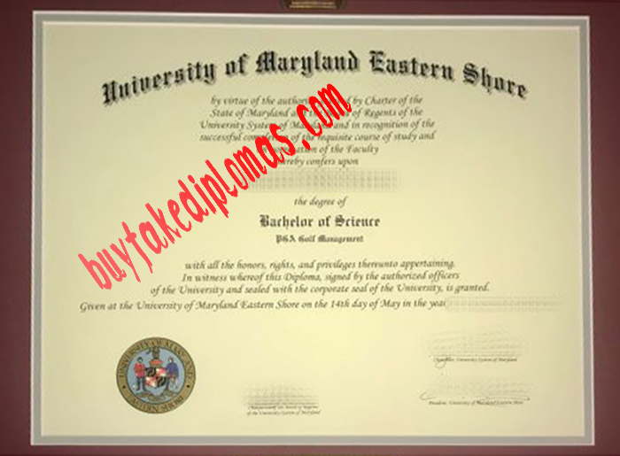 University of Maryland Eastern Shore fake degree