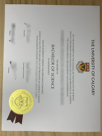 University of Calgary fake diploma