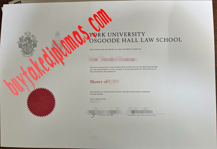 York University fake diploma