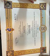 Bologna University fake diploma