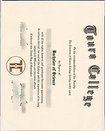 Touro College fake diploma